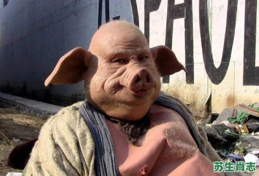 猪八戒师兄是什么生肖？西游记猪八戒是几师兄