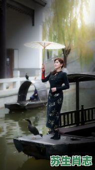 江南水乡美女多是什么生肖？江南水乡最佳答案一肖