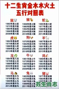 五行属水是什么生肖？免费查自己的五行属性
