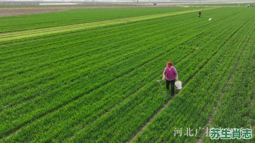 农忙时节能帮忙是什么生肖？农家种地忙是什么生肖