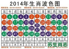 世界反三网服务是什么生肖？世界反三网服准确生肖