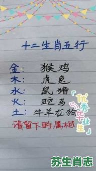 我哥叫王金木是什么生肖？一哥是什么生肖