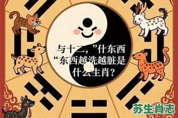 什么东西越洗越脏是什么生肖？什么东西越洗越多啊