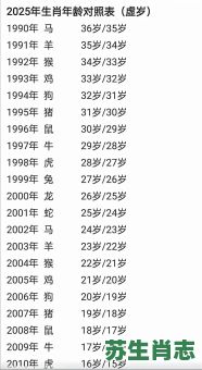 一来一回是什么生肖？一去不返回是什么生肖