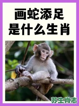 吃水果又吃肉的生肖是什么？12生肖什么动物吃水果