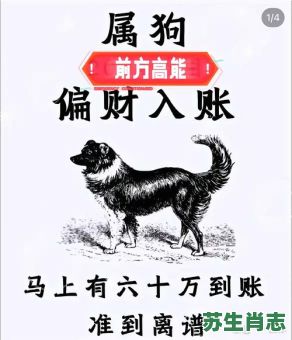 斤斤计较鸡狗斗是什么生肖？斤斤计较最正确动物