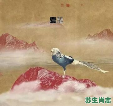 姮是什么生肖？刘克庄是什么生肖