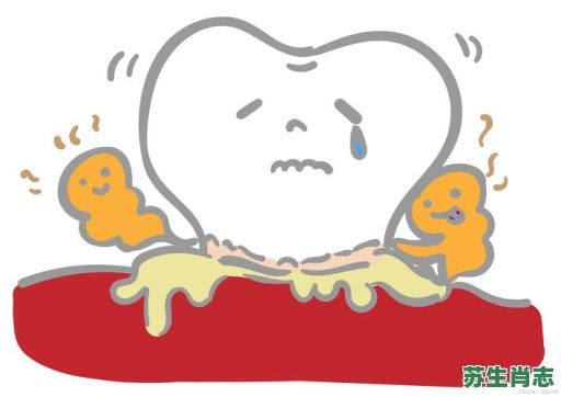 蛀是什么生肖？蛀牙打一准确生肖