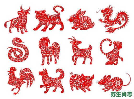 锯齿是什么生肖？齿代表什么动物