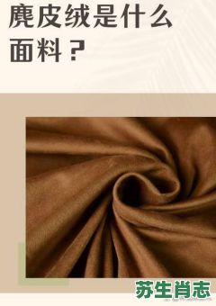 皮毛是什么生肖？毛皮是宝打一动物