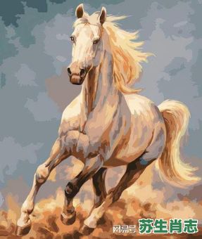 生肖是什么马？澳门马的十二生肖是些什么