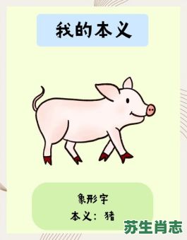 赜是什么生肖？赜字最忌讳三个生肖