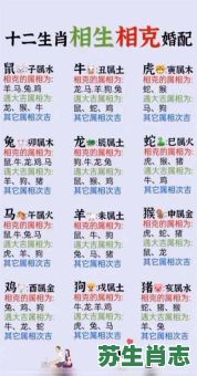 界生肖是什么？界字解一生肖