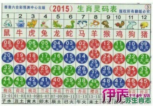 买马生肖是什么？买十二生肖买马结果