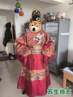 长袍是什么生肖？一身王袍的动物是什么