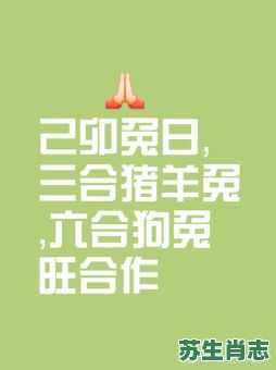 不是是什么生肖？事字是什么生肖