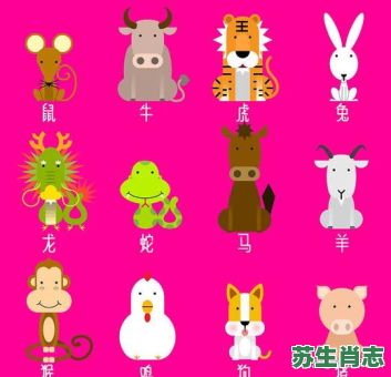 夺宝是什么生肖？夺指什么动物生肖