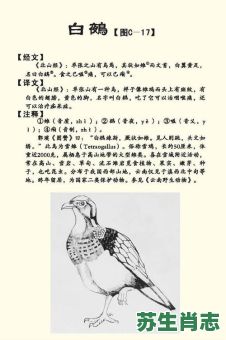 鵺是什么生肖?蚂蟥指什么生肖 鵺是什么生肖?蚂蟥指什么生肖