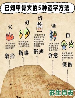 裂缝是什么生肖？裂字最正确生肖