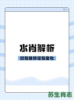 3代表生肖是什么生肖？水肖是什么生肖