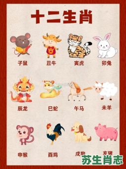 2属相是什么生肖？2025最正确的生肖