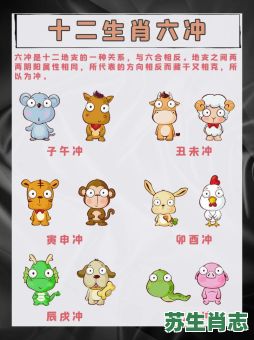 生肖六冲是什么？6冲生肖是哪6个