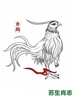 白鼍是什么生肖?白代表什么生肖动物 白鼍是什么生肖?白代表什么生肖动物