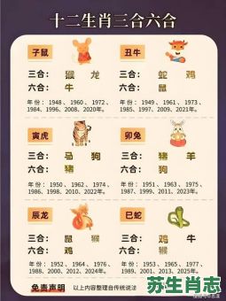 好吗是什么生肖年？好代表什么生肖