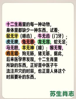 洋牙是什么生肖？打落牙齿打一生肖