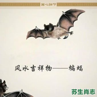 女士蝠是什么生肖？蝙蝠打一个准确生肖