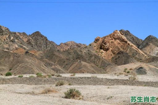 瓜州是什么生肖？州官放火打一正确生肖