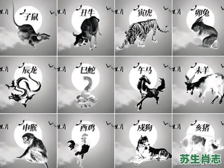 量是什么生肖的动物？自不量力的生肖