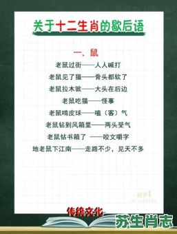 大街小巷是什么生肖？大街小巷打一动物谜底