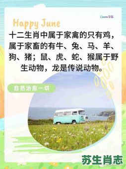 是鸡变的是什么生肖？鸡和羊的属相合吗