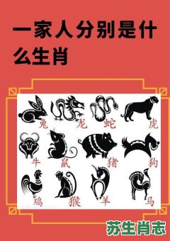 子打一生肖是什么？子是代表什么生肖