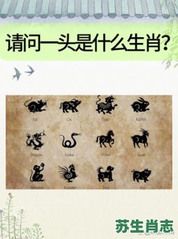 买的生肖是什么生肖？欲钱买咩咩叫打一生肖