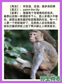 树的生肖是什么?树指什么生肖最佳答案 树的生肖是什么?树指什么生肖最佳答案