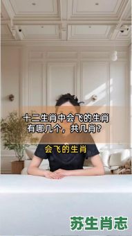 姐是什么生肖？飞打一最佳生肖