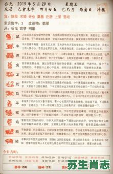 将生肖是什么？将代表哪个生肖