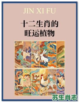 养是什么生肖？养打一准确生肖