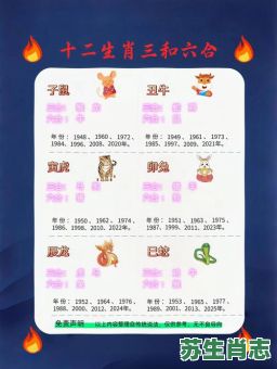 足肖是什么生肖？足有几个生肖