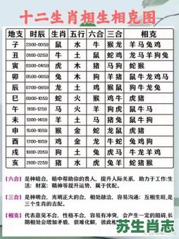 空肖是什么生肖是什么？空在十二生肖是什么生肖