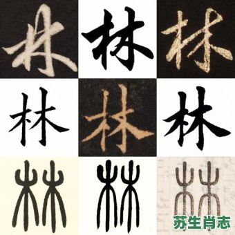 林的生肖是什么？林字属什么生肖