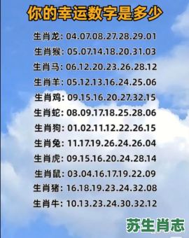连是什么生肖？三二四四是什么数字