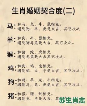 老的生肖是什么？老打一生肖是什么