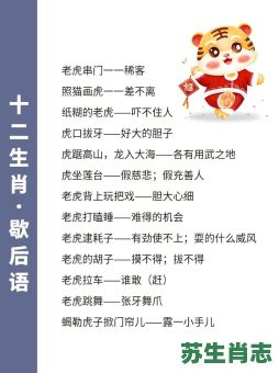 说的生肖是什么？说打一个生肖