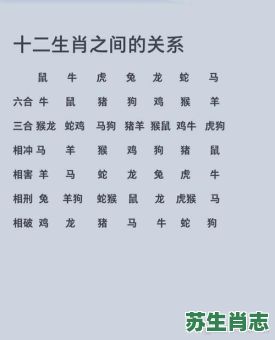 12生肖对肖是什么？十二生肖里代表什么生肖