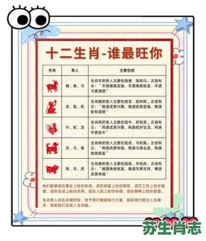 贵人的生肖是什么？贵人暗示什么生肖