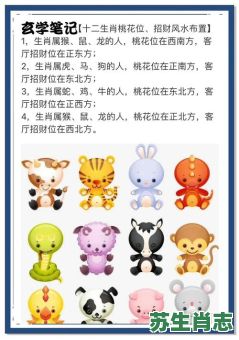 招的生肖是什么？招打一个正确生肖是什么