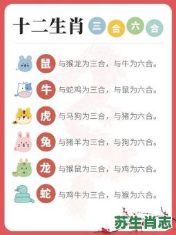 转的生肖是什么？转最正确一肖